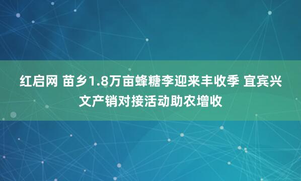 红启网 苗乡1.8万亩蜂糖李迎来丰收季 宜宾兴文产销对接活动助农增收